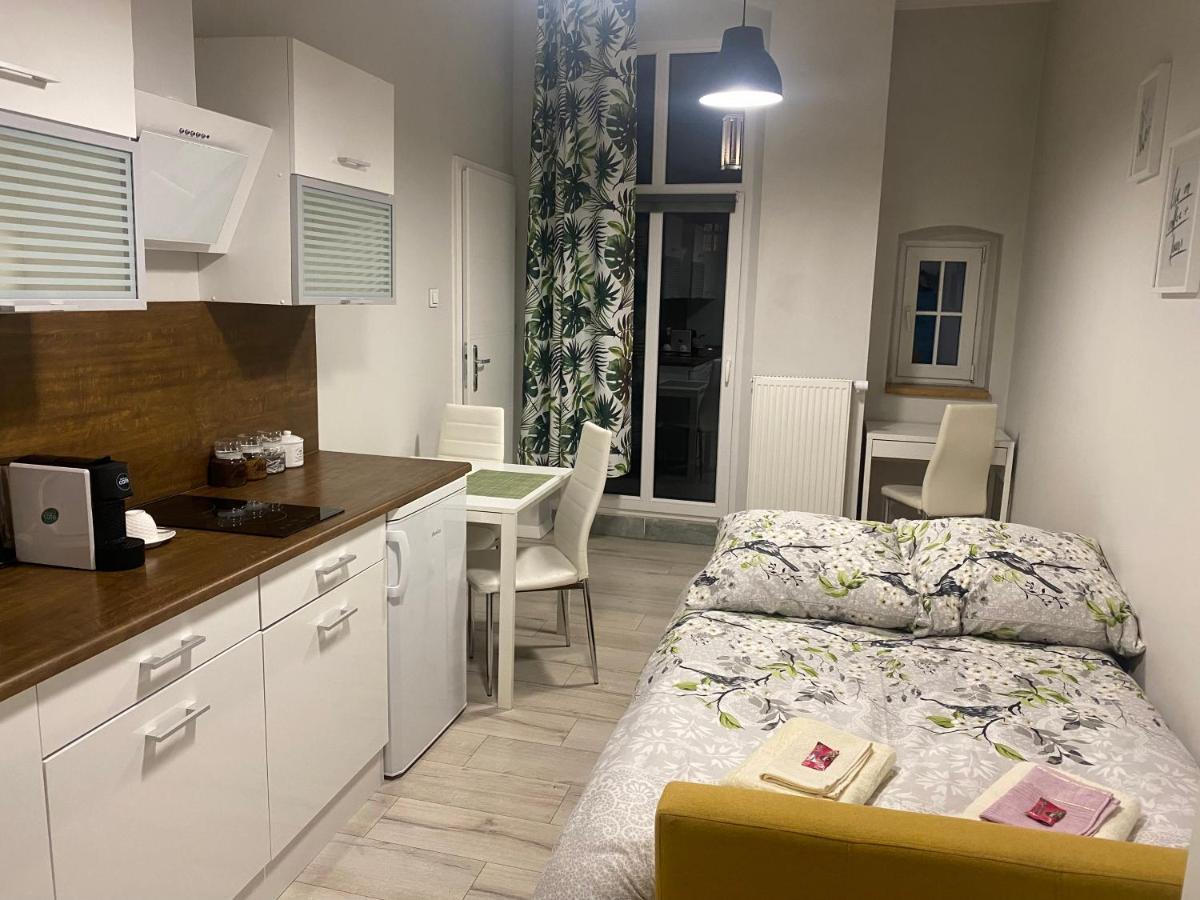 卡托维兹Przytulna Kawalerka 10Min Pieszo Od Dworca/Galerii公寓 外观 照片